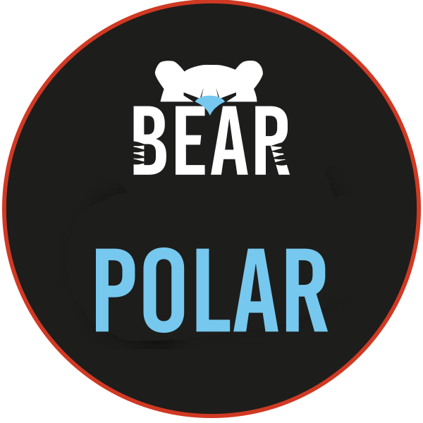 Bear - Polar