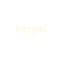 logo roykin